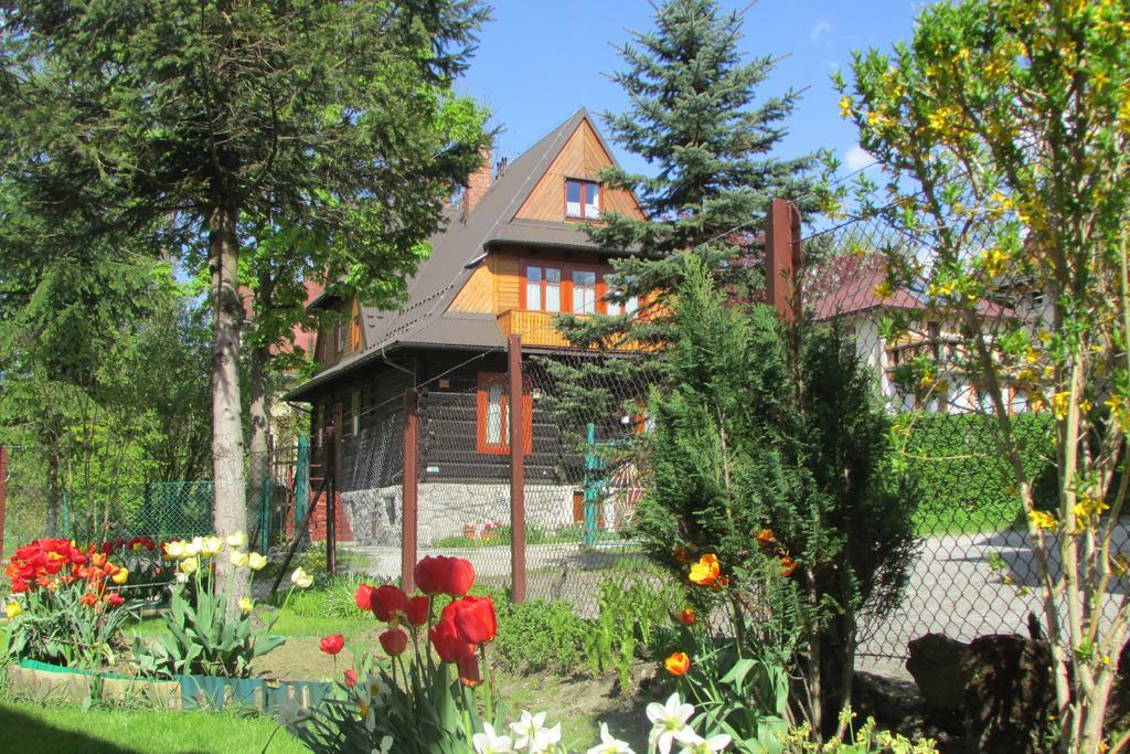 Willa Dewajtis Bed & Breakfast Zakopane Dış mekan fotoğraf