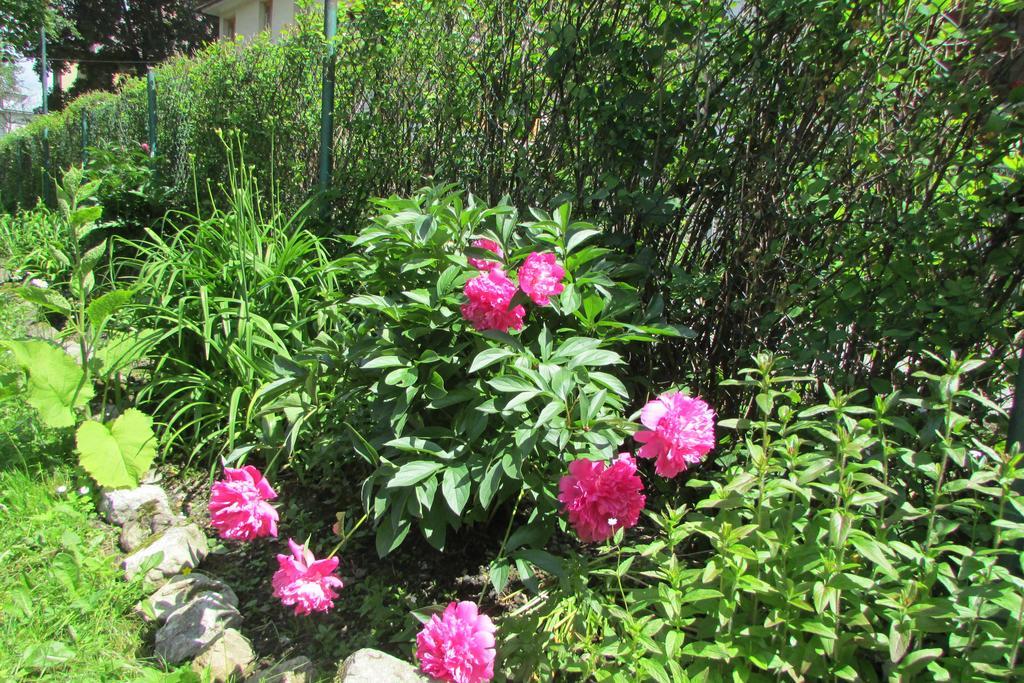 Willa Dewajtis Bed & Breakfast Zakopane Dış mekan fotoğraf