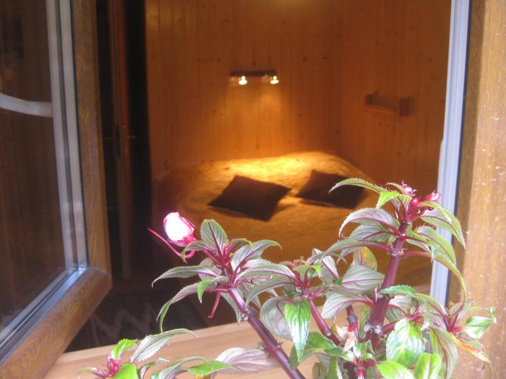 Willa Dewajtis Bed & Breakfast Zakopane Oda fotoğraf