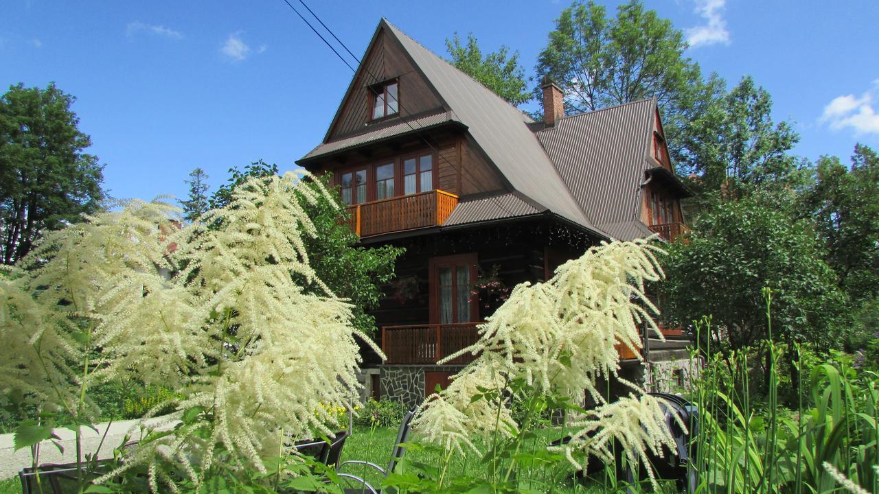 Willa Dewajtis Bed & Breakfast Zakopane Dış mekan fotoğraf